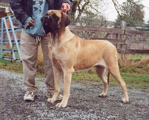 nala_feb2001_-_3.jpg